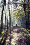 055 Laan op het landgoed Landfort, dia