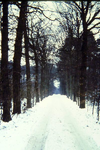 161 Besneeuwde laan op landgoed Landfort, dia