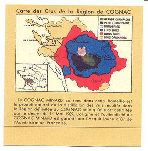 100 Carte des Crus de la Région de COGNAC. [Ph. van Perlstein & Zn NV]