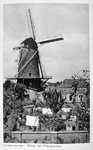 0132 De molen Van Wijngaarden