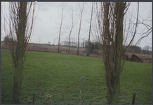 0950 Weidelandschap