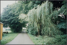0987 Voorbroek