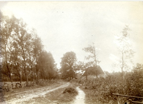 1095-14-328 Landweg en huisje bij Hemsink in de buurt
