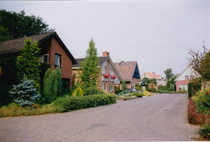 166 Straatbeeld woonwijk