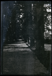 664-0080 Oprijlaan in de buurt van hotel Doornenkamp in Oosterbeek, 04-1930