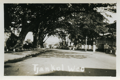 55.11 Tjankol Weg, 1931
