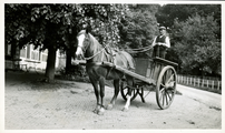 16-0131 Ingespannen paard op landgoed Mariëndaal, 1930