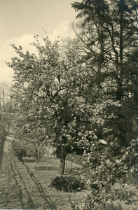 20-0034 Moestuin van landgoed Mariëndaal, 1930