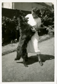 14-0020 Henriëtte met de hond, 1925