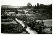 14-0050 De boomgaard en moestuin van huis Mariëndaal, 1925