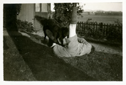 14-0162 Leo speelt met de hond, 1926