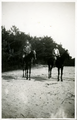 14-0219 Henriëtte en Herman te paard, 1926