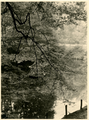 20-0015 Vijver met eendenhuisje op landgoed Mariëndaal, 1930