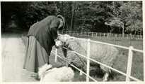20-0055 Henriëtte van Eck bij schapen, 1930
