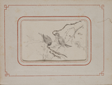 1609-0020 Tekening van twee vogels, 1874-1876