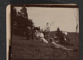 1614-0015-02 Een picknick, ca. 1900