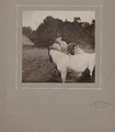 1615-0004 Willem van Heeckeren van Kell (1814-1915) met twee pony's in een weiland, 1899-1905