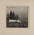 1617-0010-01 Uitzicht op Salario, ca. 1900