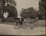 1619-0012 Twee personen in een rijtuigje bij het huis Bingerden, ca. 1900