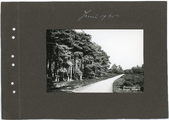 226.01-0001 Juni 1935. Boschweg de Hooge Veluwe , 1935