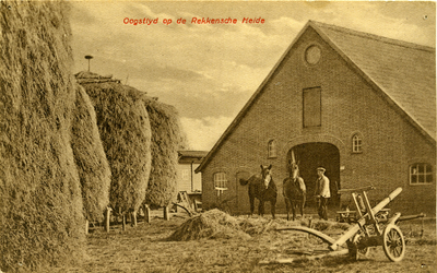 265-0116 Boerderij Dennenkamp, 1900-1950