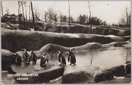 2559 Burger's Dierenpark Arnhem Pinguins, 1938-07-09