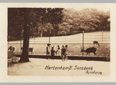 2644-0005 Hertenkamp. Sonsbeek Arnhem., ca. 1910