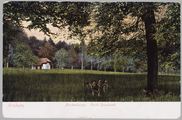 2788 Arnhem, Hertenkamp Park Sonsbeek, ca. 1905