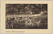 2800 Arnhem - Hertenkamp Sonsbeek, ca. 1905