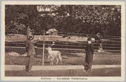 2810 Arnhem - Sonsbeek Hertenkamp, ca. 1905