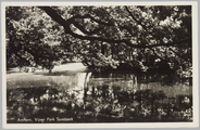 3145 Arnhem, Vijver Park Sonsbeek., 1950-08-13