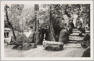 3265 Doorkijk Grot Sonsbeek, Arnhem, 1950-07-08