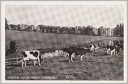 3385 Arnhem Grote Weide Sonsbeek, 1950-08-30