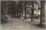 3595 Boschkiekje Sonsbeek m/ Tuinmanswoning, ca. 1950