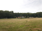 11945 Oosterbeek, 08-09-2013