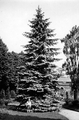 17627 Waterbergseweg, 1930-1940
