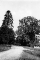 18964 Zijpendaal, 1920-1930