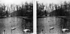 13992 Sonsbeek-Grote Waterval, 1900-1910