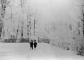 18981 Zijpendaal, 15-01-1911