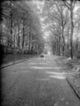5386 Kemperbergerweg, 1955