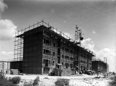 9906 Presikhaaf, 1952-06-16