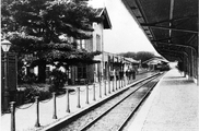13350 Dieren, Station, ca. 1900