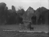 2140 Arnhem Burgers Dierenpark, 1936