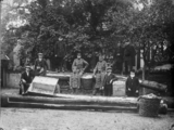 230 Dieren Kwattabomen, 1918