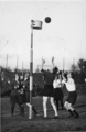 312 Arnhem Sport , 1931