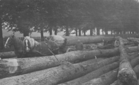 611 Dieren Spankerenseweg, 1930 - 1940