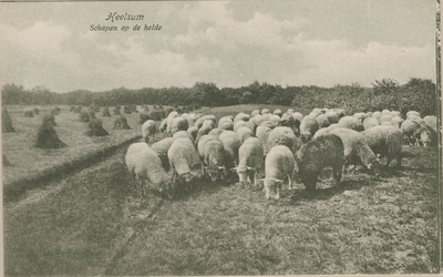 1089 Heelsum, Schapen op de heide, 1920-1930