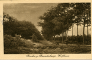 1216 Boschweg-Buunderkamp, Wolfhezen, 1920-1930