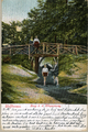 1391 Wolfhezen. Brug bij de Uitspanning, 1900-1903