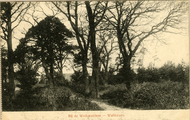 1401 Bij de Wodanseiken - Wolfhezen, 1915-1925